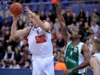 cibona - krka