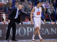 cibona - krka