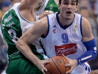 cibona - krka