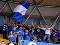 cibona - krka