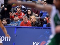 cibona - krka