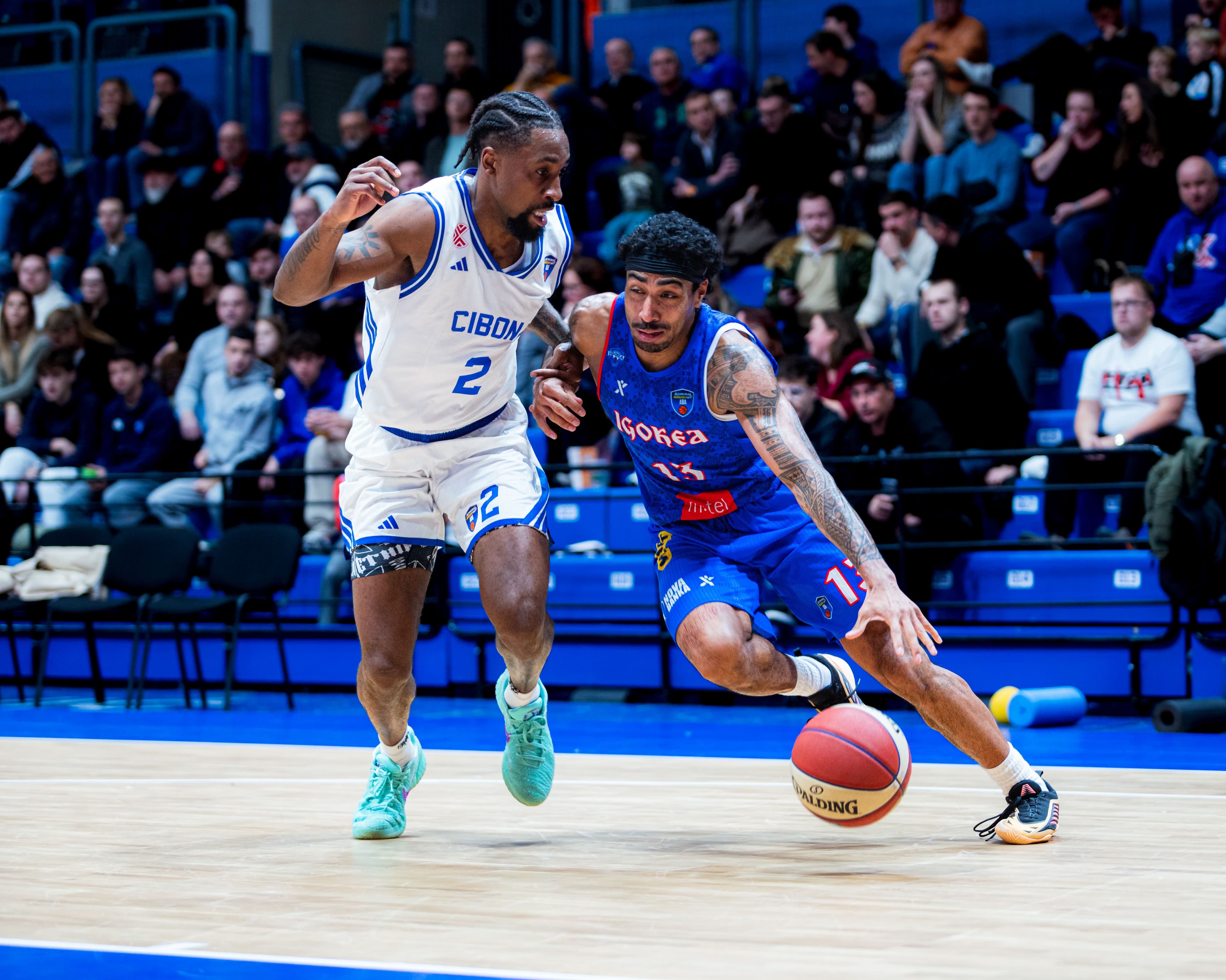 Cibona poražena od Igokee u Draženovom domu
